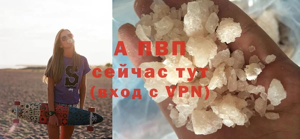 прущие грибы Кулебаки