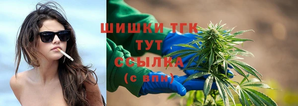 прущие грибы Кулебаки