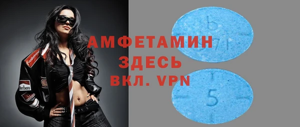 прущие грибы Кулебаки