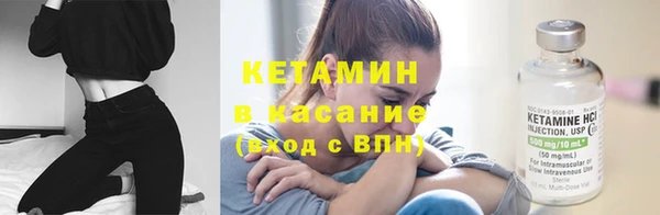 прущие грибы Кулебаки