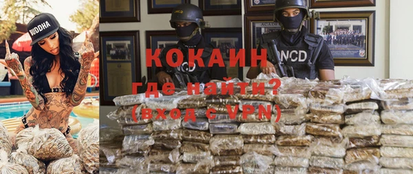 прущие грибы Кулебаки