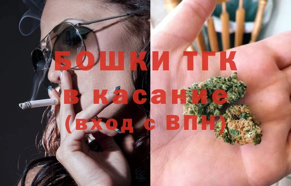 прущие грибы Кулебаки