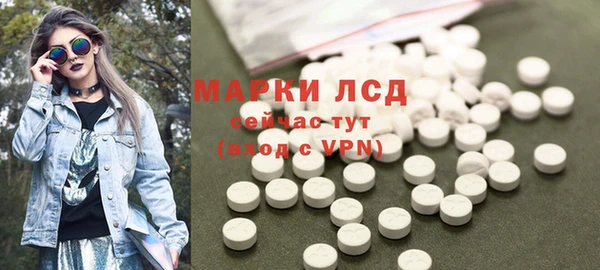 прущие грибы Кулебаки