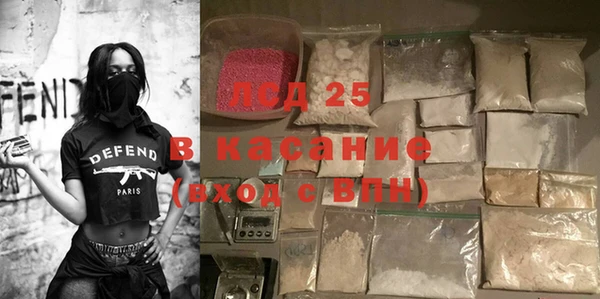 прущие грибы Кулебаки