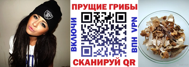 Псилоцибиновые грибы ЛСД Красногорск