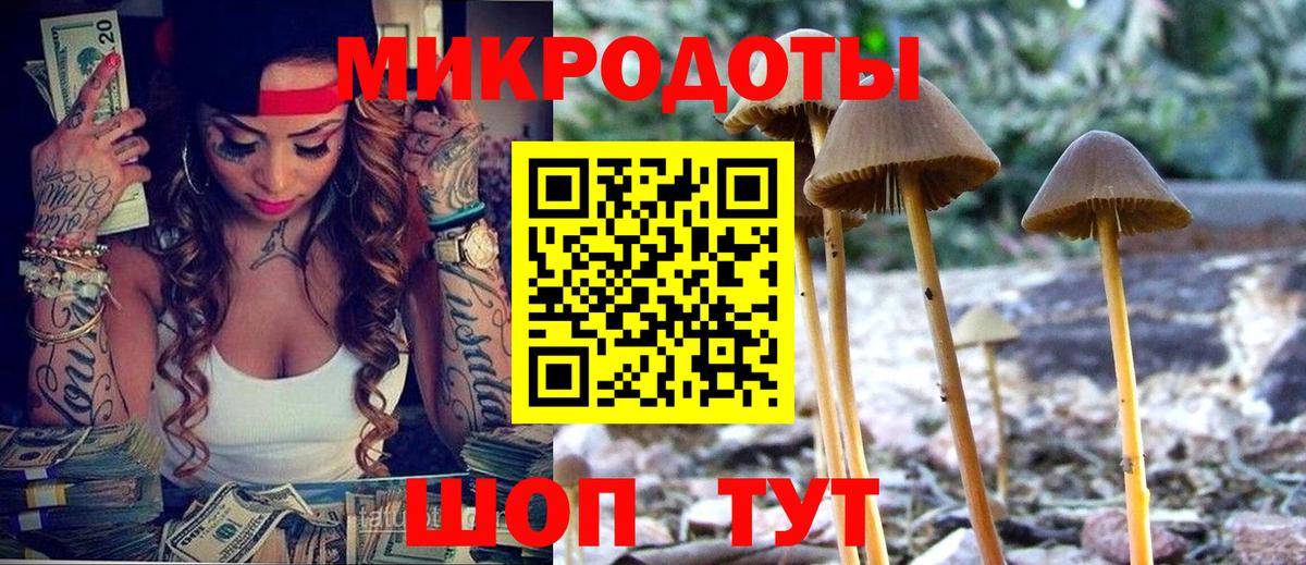 наркотики  Красногорск  Галлюциногенные грибы Magic Shrooms  Псилоцибиновые грибы Magic Shrooms 