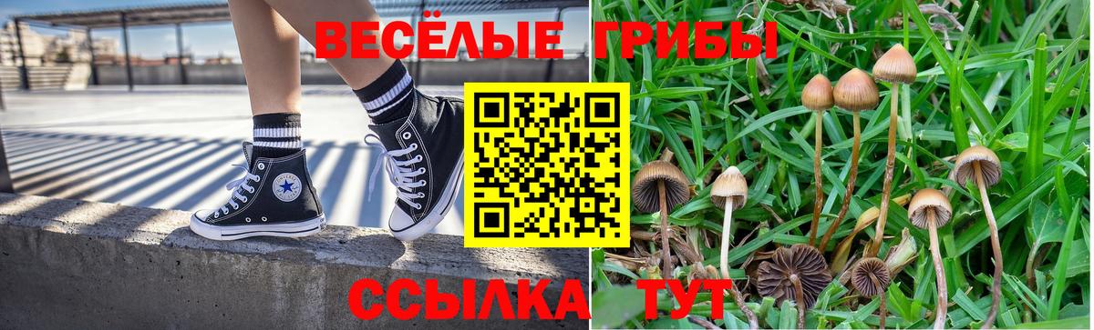 Псилоцибиновые грибы Cubensis  Вход с VPN  Красногорск 