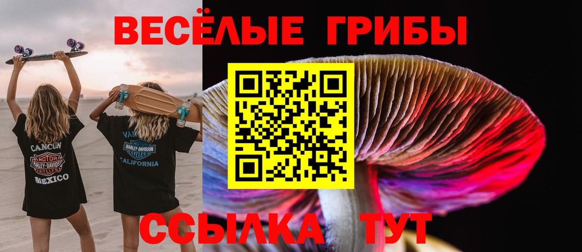 Галлюциногенные грибы ЛСД Красногорск